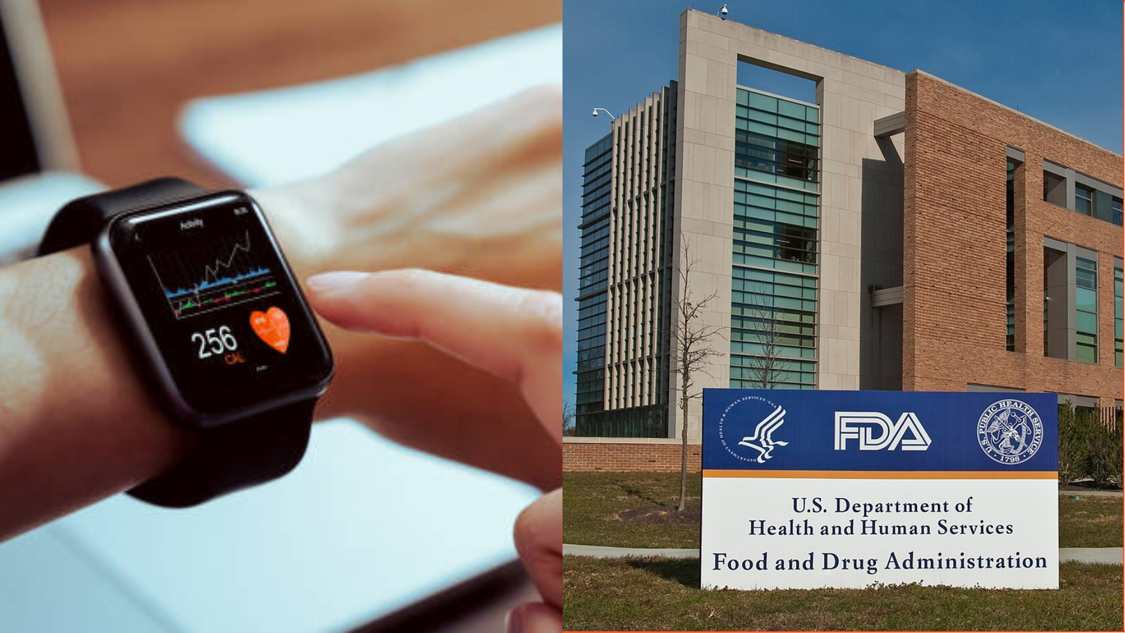 The FDA’s Updated Approach to Wellness Tech: A Closer Look